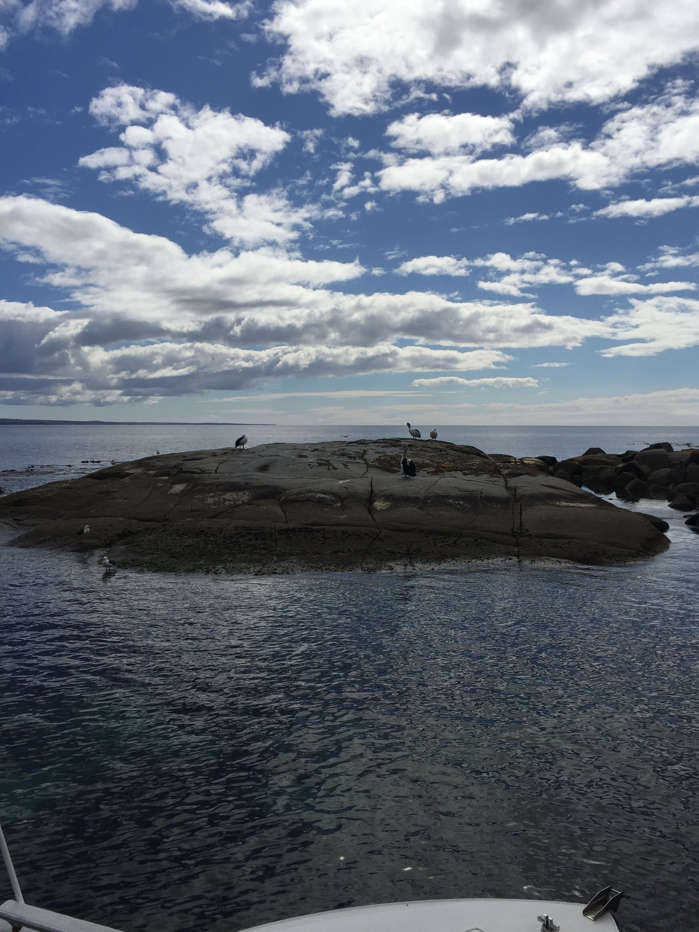 Toddle Inn - Binalong Bay — image 24