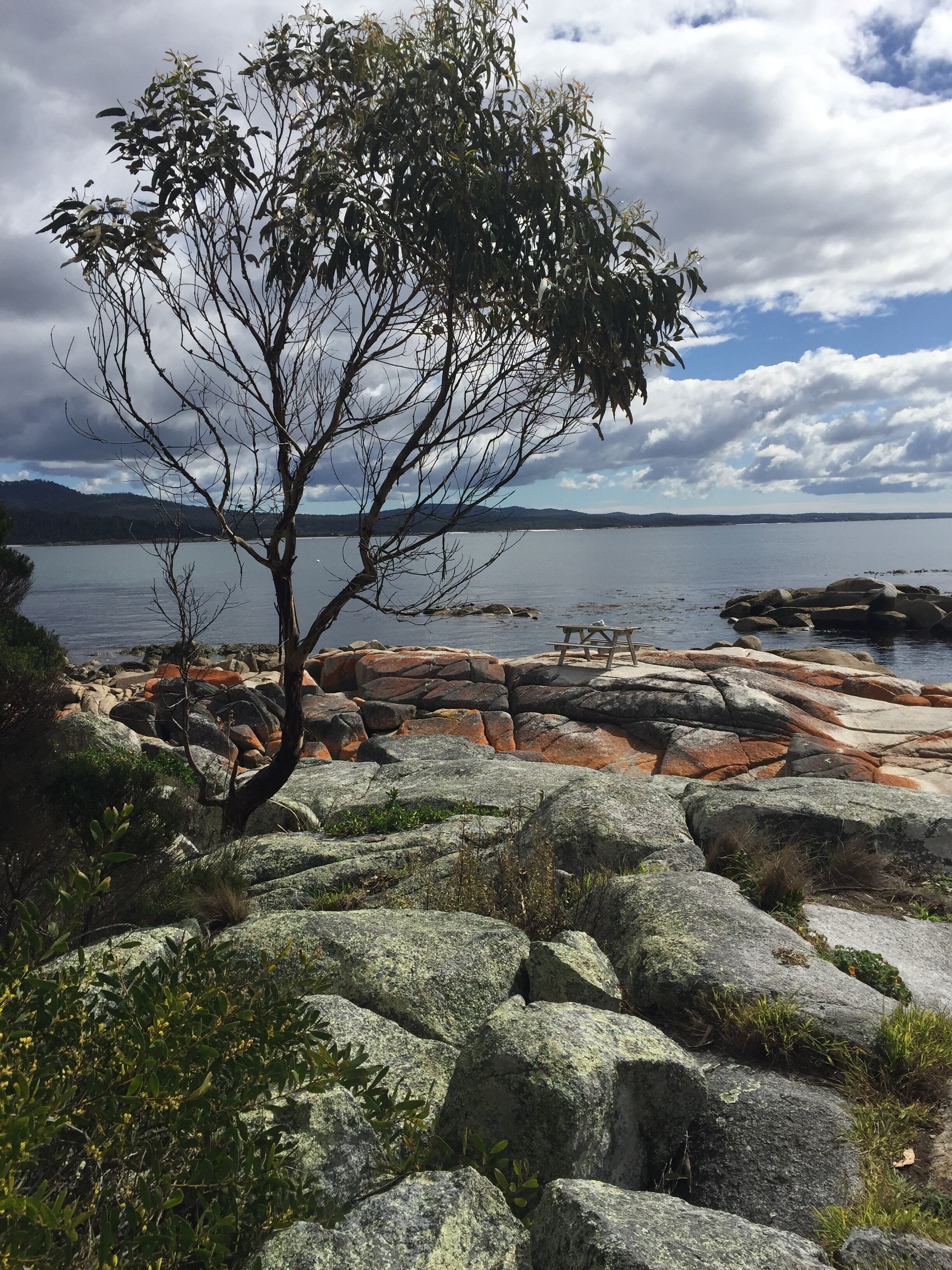 Toddle Inn - Binalong Bay — image 6