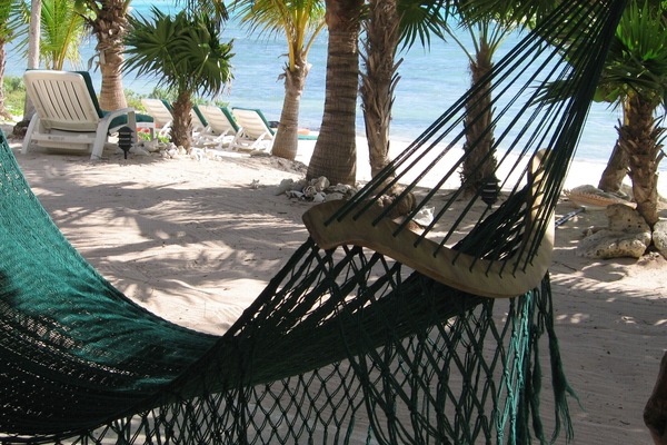 Tres Delfines -- You may never get out of your hammock!