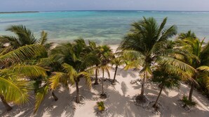Une plage à l’eau turquoise et limpide, bordée de palmiers.