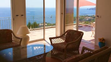 Télévision, cheminée, lecteur de DVD, livres