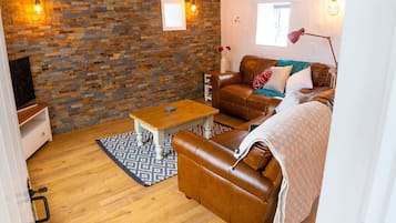 Televisor intel·ligent, reproductor de DVD, llibres i videoteca