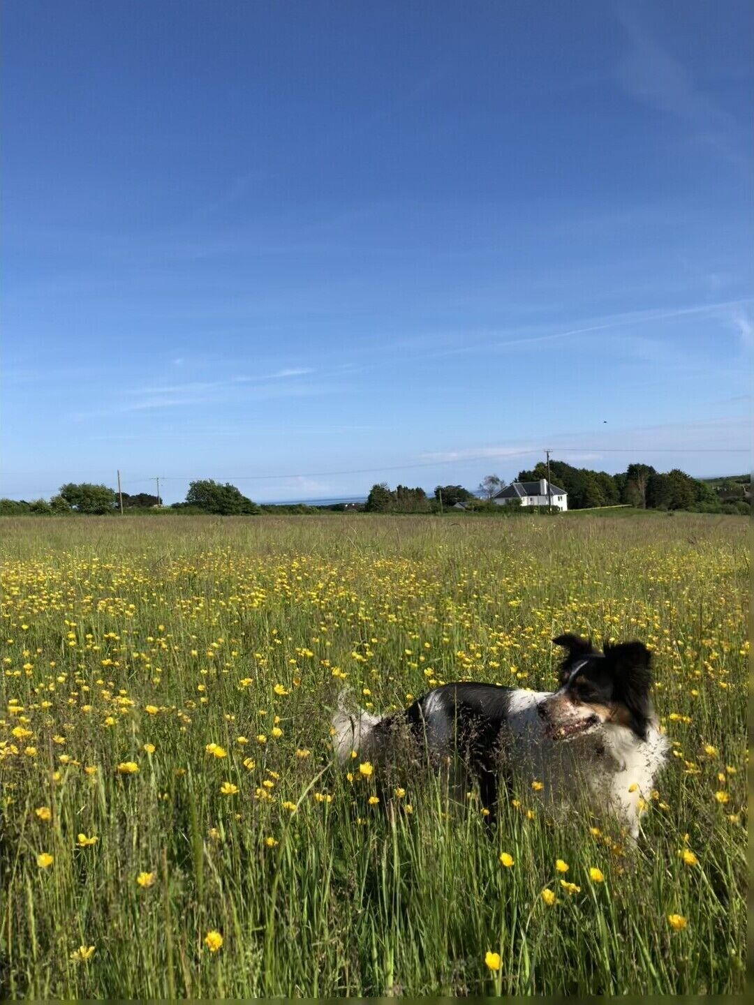 There are two sea views from our meadow.