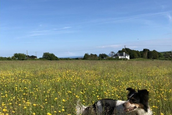 There are two sea views from our meadow.