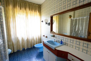 Combined shower/bathtub, hair dryer, bidet, towels