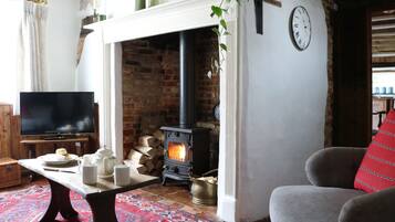 TV connectée, cheminée, lecteur de DVD, livres