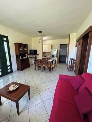 TV, books, computer monitors