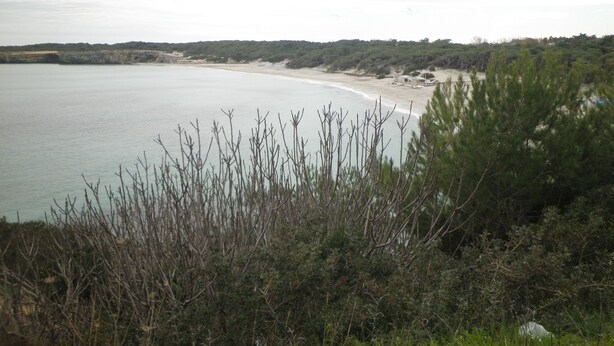 Paisaje costero con playa, vegetación y una costa lejana.