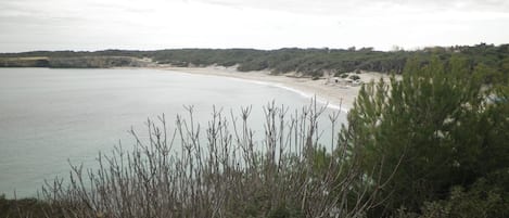 Plage à proximité