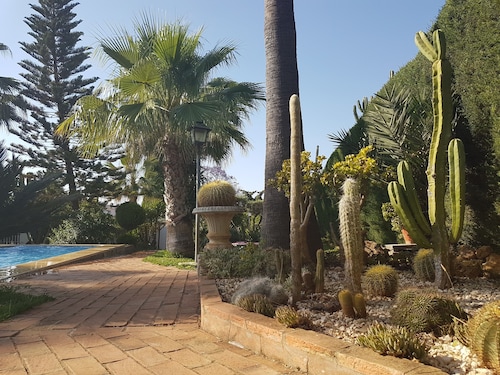 Beautiful home with pool, a welcome respite away from the city of Sevilla