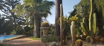 Beautiful home with pool, a welcome respite away from the city of Sevilla