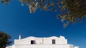 A white stone building with a staircase leading to the entrance, set against a clear blue sky. - Idyllic olive mill with heated pool, in an olive grove, close to sea and Ostuni (Ostuni)