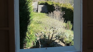 Una finestra con vista su un giardino, una recinzione e una montagna sullo sfondo.