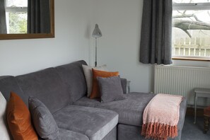 Smart TV, DVD player, books