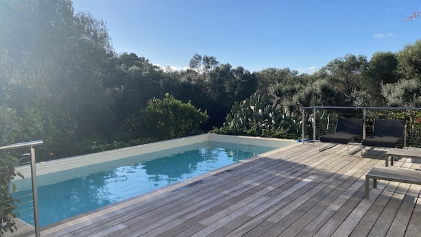 Une terrasse en bois avec une piscine, entourée d’une végétation luxuriante et d’arbres.