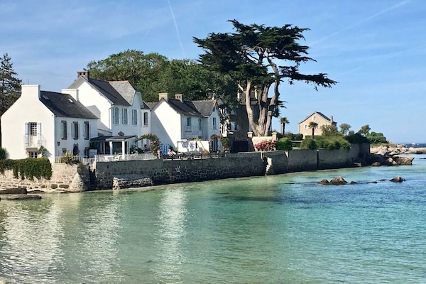 Maisons près du café du port