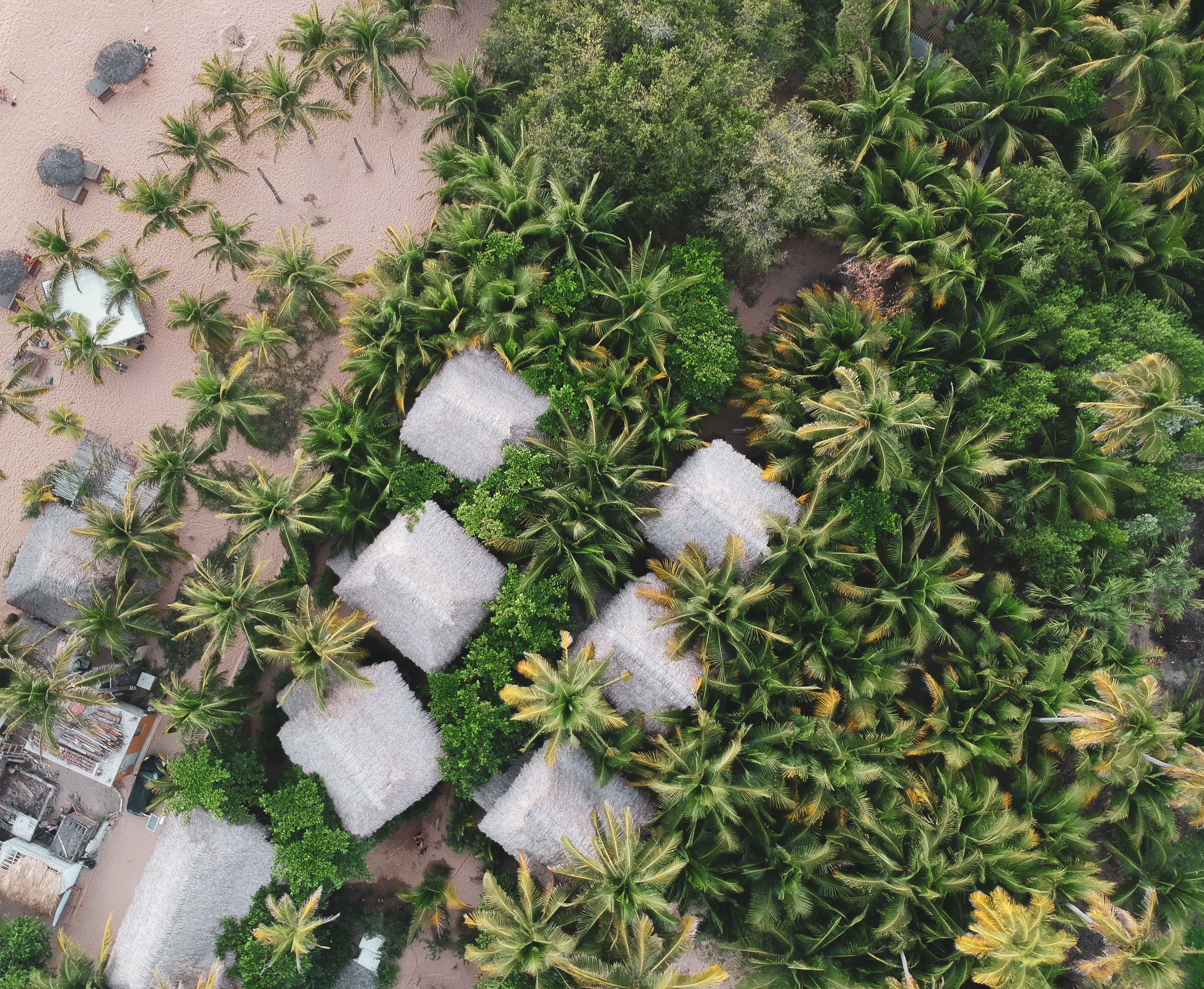 An aerial view of a resort with thatched-roof cabanas, palm trees, and a sandy beach.
