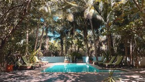 A pool surrounded by lush greenery and lounge chairs. - Hotel Descalzo (San Pedro Pochutla)