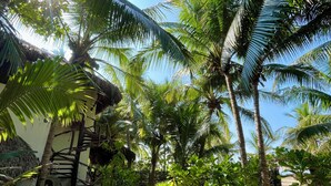 A tropical garden with palm trees, a thatched-roof structure, and a sandy path. - Hotel Descalzo (San Pedro Pochutla)