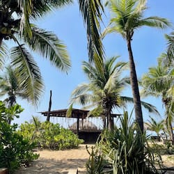 Ngoại thất