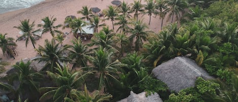 Vista aérea de una playa con palmeras y cabañas de techo de paja.