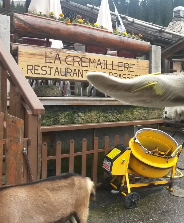 Unterkunftsgelände