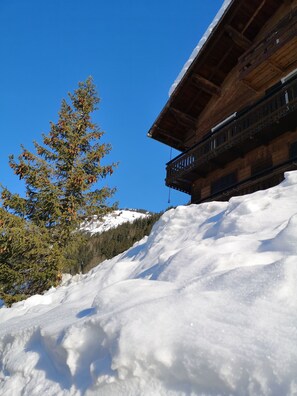 Property grounds - Modern Luxury Apartment in Châtel, only 150m from Lifts and Resort Centre. (Châtel)