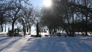 A snow-covered landscape with trees and a clear sky.
