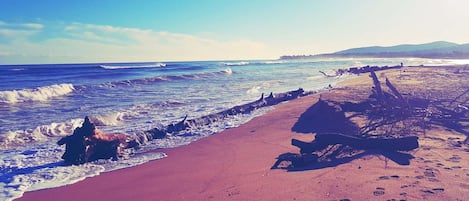 Playa