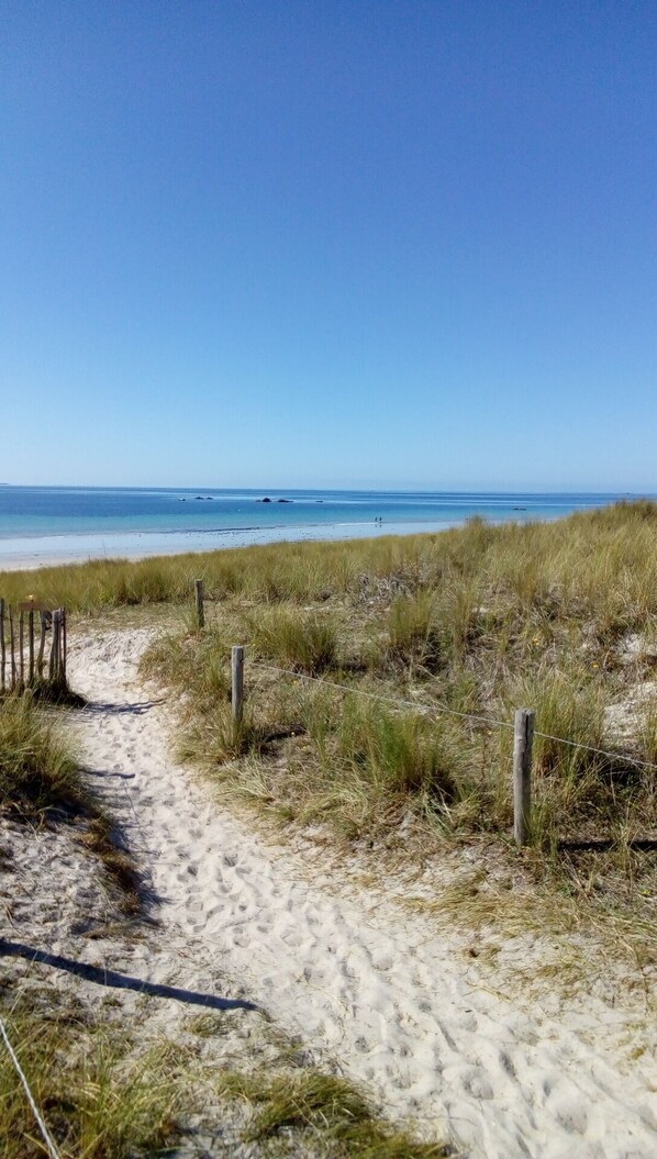 Perto da praia, espreguiçadeiras