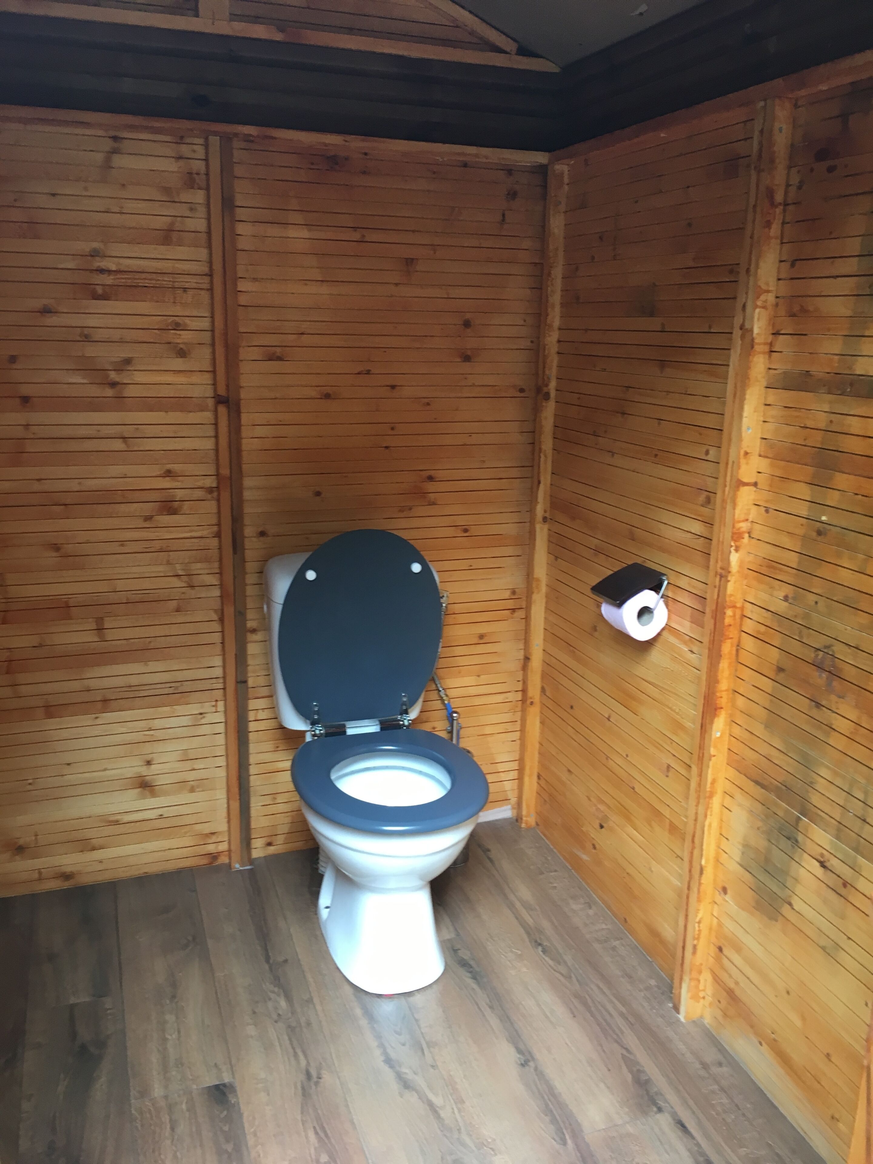 A wooden-paneled bathroom with a toilet and a roll of toilet paper on the wall.