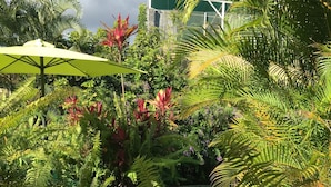 Un exuberante jardín con diversas plantas tropicales y una piscina azul.
