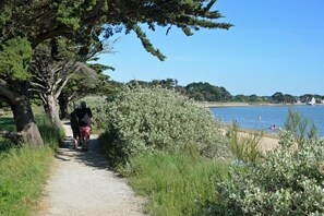 Un camí de grava al costat d'una massa d'aigua, amb arbres i arbustos d'un costat i una platja de l'altre.