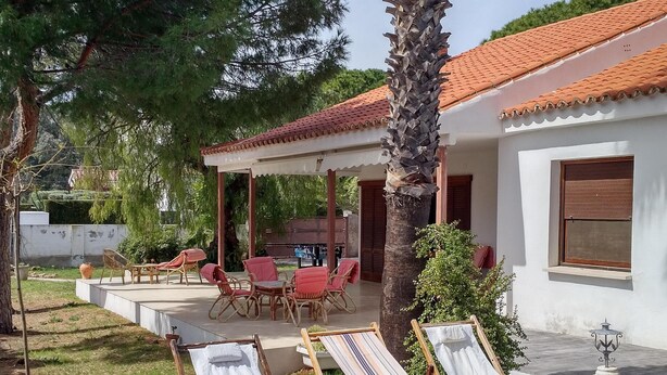 Een terras met lounge stoelen, een overdekte zithoek en een palmboom.