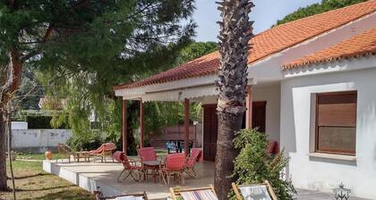 Villa with private pool near the beach