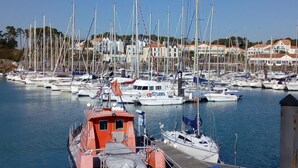 A marina with multiple boats docked, a rocky foreground, and buildings in the background.