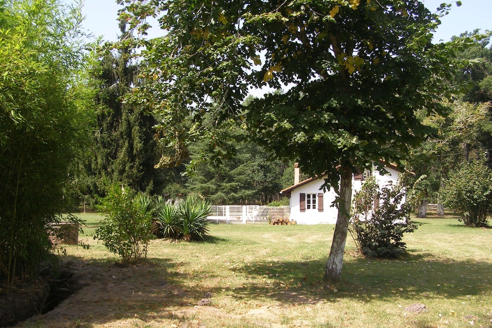 Rustic house with swimming pool in the heart of the Landes countryside