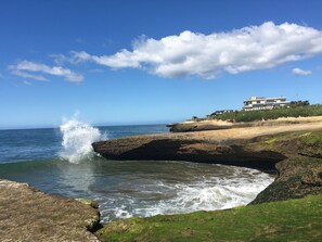 Un paisaje costero con costa rocosa, olas rompiendo contra las rocas y un edificio grande de varios pisos sobre una colina cubierta de césped.