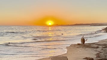 Plage, chaises longues, serviettes de plage