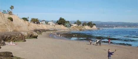 A sandy beach with people, some walking and others standing, near the water.