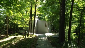 Ein hölzerner Pfad führt zu einer kleinen Hütte, umgeben von hohen Bäumen.