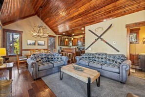 TV, fireplace, video games, DVD player