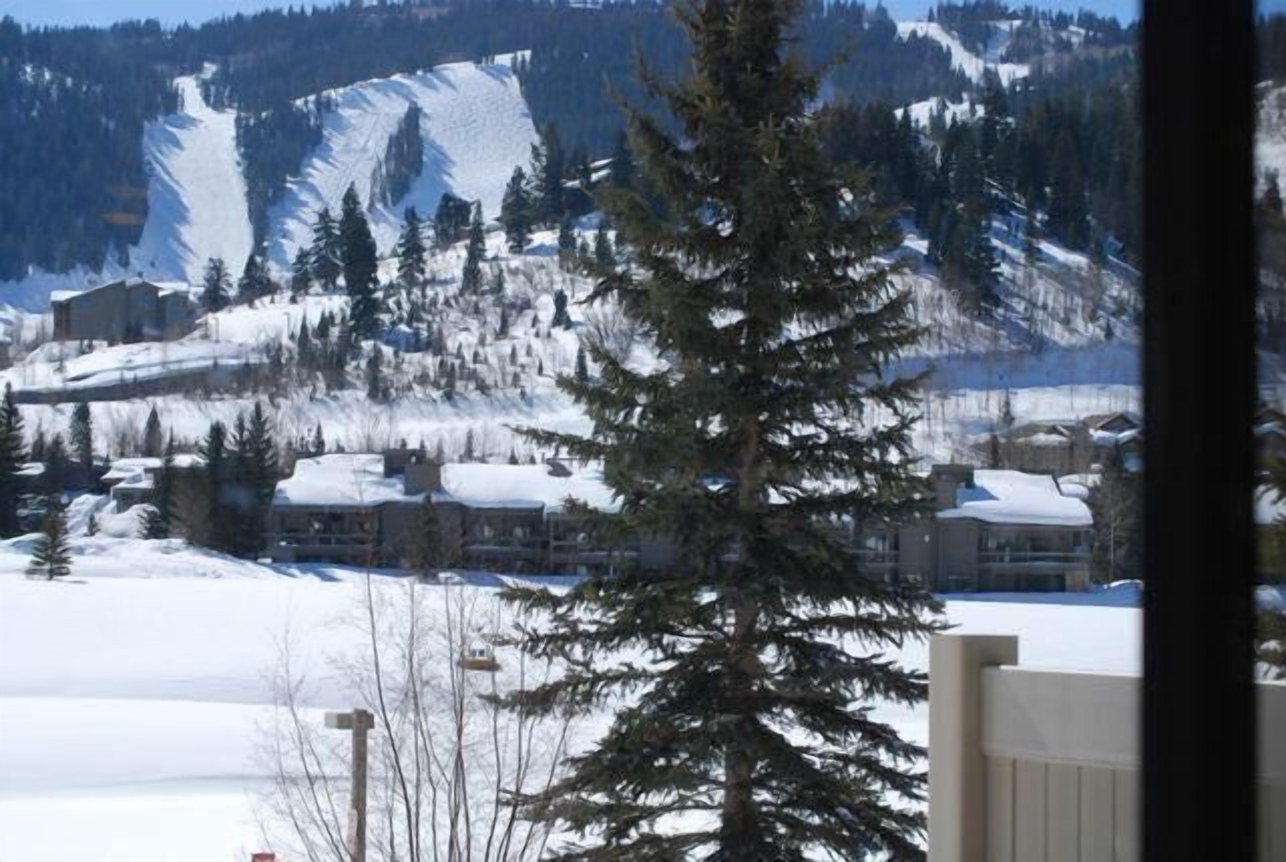 Enjoy  mountain view.  Luxury 2 bedroom apartment 3 minutes from Snow Park lodge
