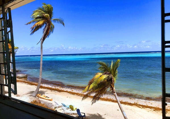 A beach view with two palm trees, a kayak, and a chair on the sand.