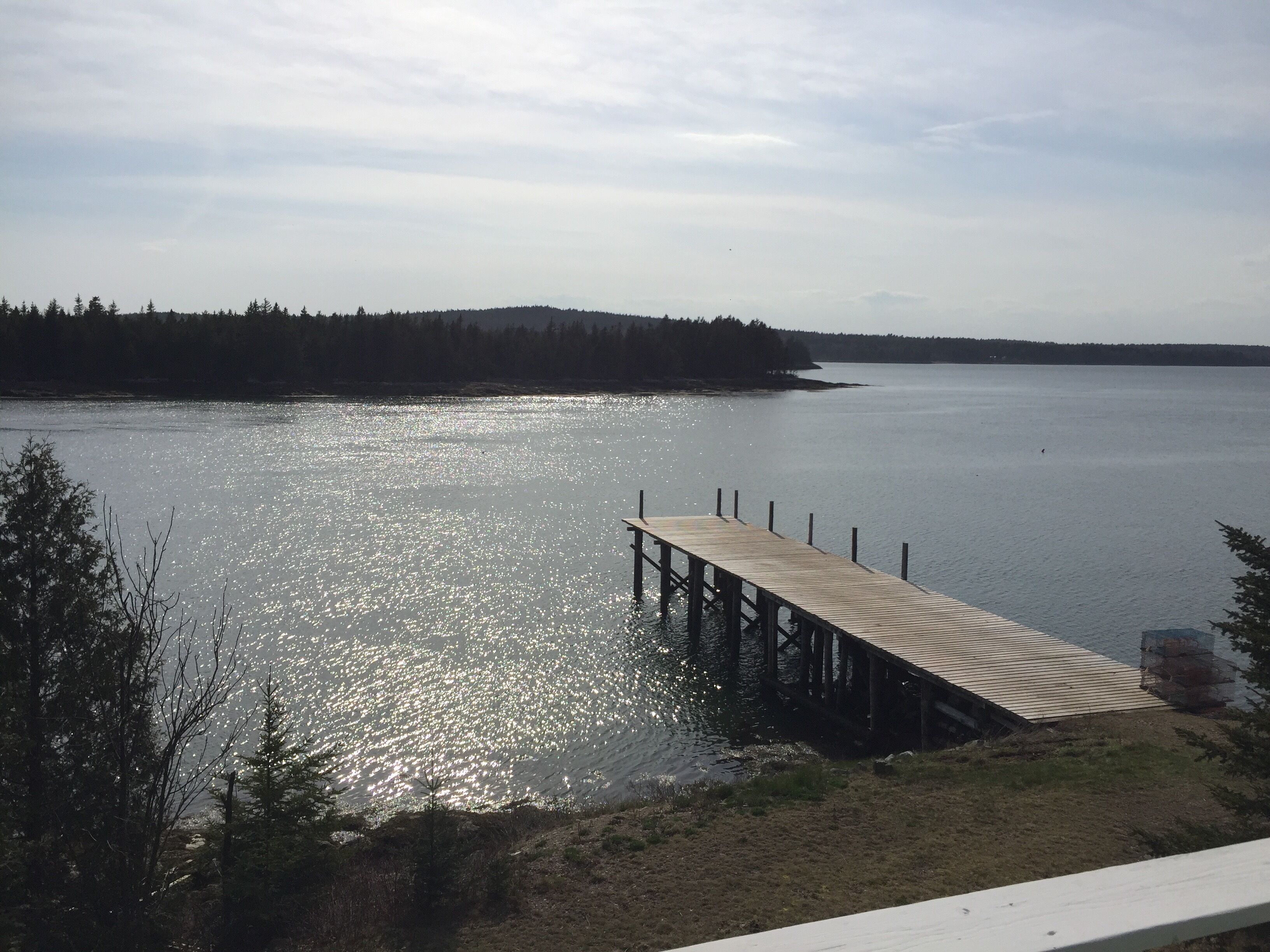 A wooden dock extending into calm water, surrounded by trees and a clear sky.