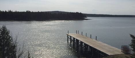 A wooden dock extending into calm water, surrounded by trees and a clear sky.