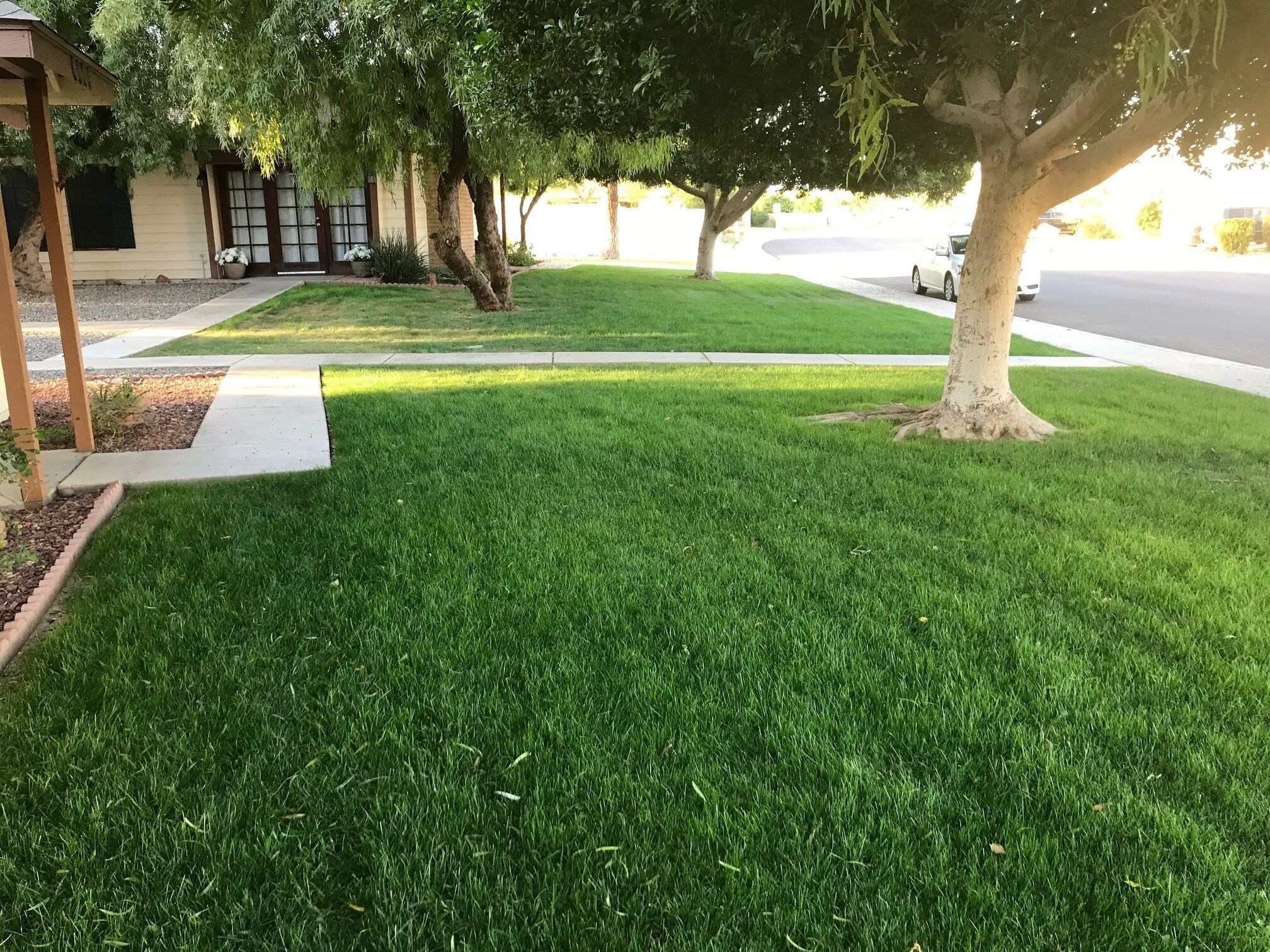 Overnatningsstedets område