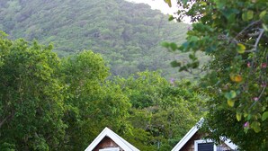 Une cabane en bois dotée d’un porche, entourée d’un paysage rocheux et d’une forêt dense.