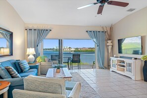 Televisión y libros 