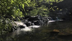 A natural outdoor setting with a small waterfall and dense greenery.
